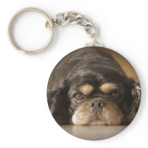 Cutie Cav! Key Chain