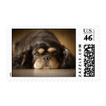CUTIE CAV! POSTAGE STAMPS