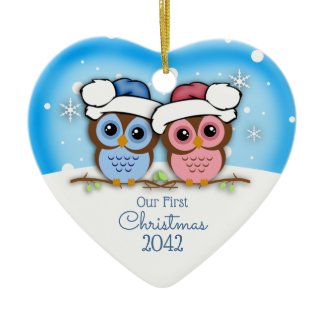 Cutie Owl Couple First Christmas Ornament