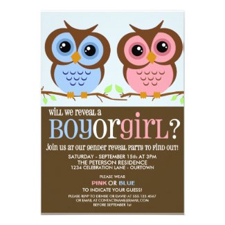 Cutie Owls Gender Reveal Party Invitation