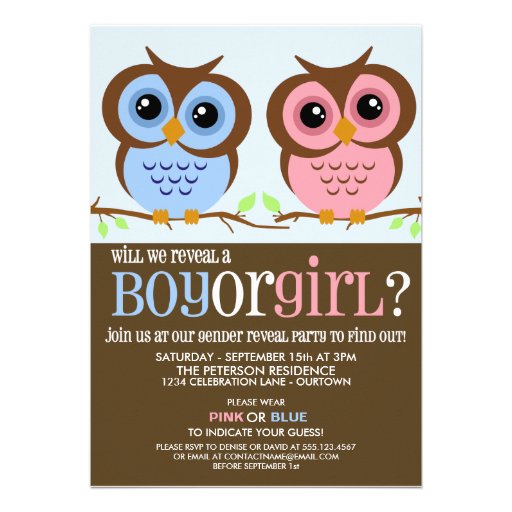 Cutie Owls Gender Reveal Party Invitation (front side)