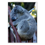 Cutie Pie Koala Greeting Card
