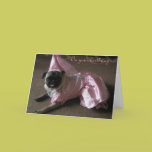 Cutie Pug Princess cards
