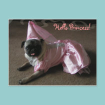 Cutie Pug Princess postcards