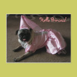 Cutie Pug Princess postcards