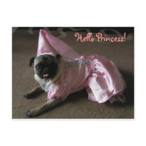 Cutie Pug Princess Postcards