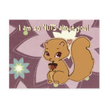 Cutie Squirrel Postcard