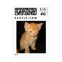 cutiecat postage