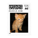 cutiecat postage stamp