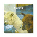 Cuties! magnets