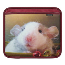Cutom Porkchop ;) ipad sleeves