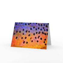 Cutthroat Trout - Card cards