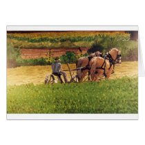 Cutting Hay cards by scottlhendrie Cutting Hay cards