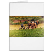 Cutting Hay cards by scottlhendrie Cutting Hay cards