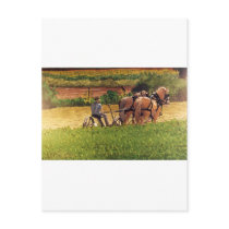 Cutting Hay postcards