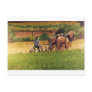 Cutting Hay Post Cards