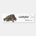 Cuttlefish bumper stickers