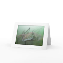 Cuttlefish Couple Greeting Card