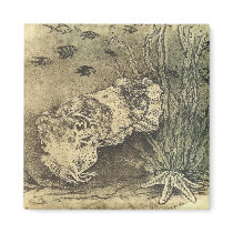 Cuttlefish magnets by Sepia673 Cuttlefish magnets
