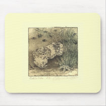 Cuttlefish mousepads