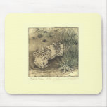 Cuttlefish Mouse Pad