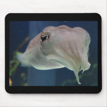 cuttlefish mousepads