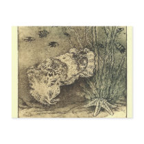 cuttlefish postcards by Sepia673 cuttlefish postcards