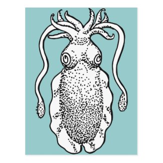 Cuttlefish Postcard