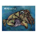 Cuttlefish postcards