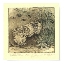 Cuttlefish Poster posters