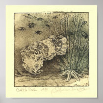 Cuttlefish Poster