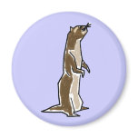 CV- Funky Ferret Magnet