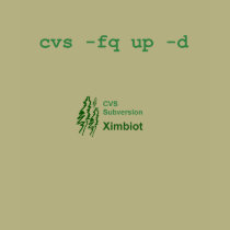 cvs -fq up -d - crisp t-shirts