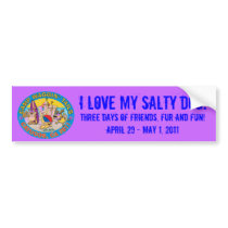 CWT Cayucos 2011 Sticker bumper stickers