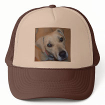 CX- Adorable Puppy hats by patcallum CX- Adorable Puppy hats