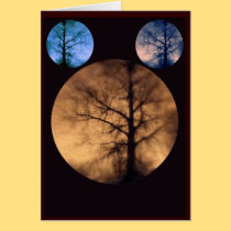 cyano round trio cards
