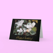 Cyclamen Birthday Card by Beliria Cyclamen Birthday Card