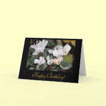 Cyclamen Birthday Card