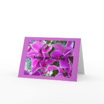 cyclamen cards