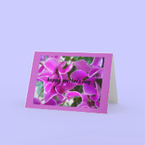 cyclamen cards by cardart cyclamen cards