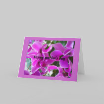 cyclamen cards by cardart cyclamen cards