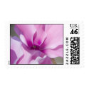 Cyclamen Postage postage by FloralPalette Cyclamen Postage postage