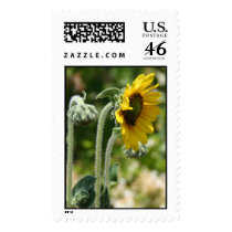 Cycles Postage Stamp stamps