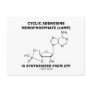Cyclic Adenosine Monophosphate (cAMP) From ATP Post Cards