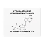 Cyclic Adenosine Monophosphate (cAMP) From ATP Post Cards