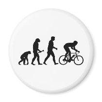 Cycling Evolution Magnets