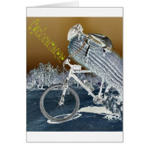 Cyclocactaceae Card