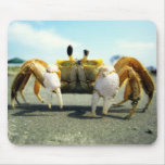 Cyclops Crabby Mouse Pads