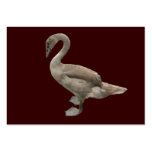 Cygnet ~ ATC Business Card