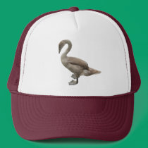 Cygnet ~ hat hats